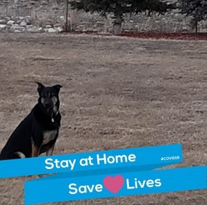 Meet your Posher, Zoe